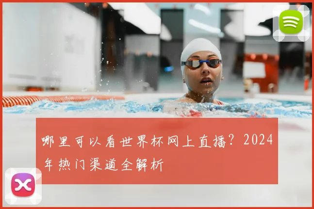 哪里可以看世界杯网上直播？2024年热门渠道全解析