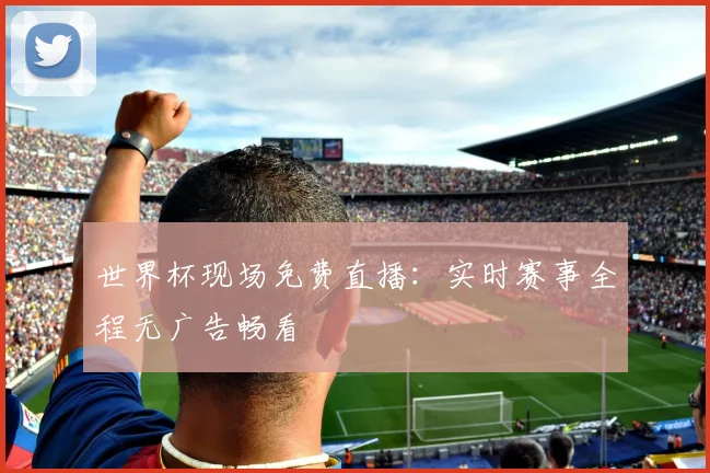世界杯现场免费直播：实时赛事全程无广告畅看