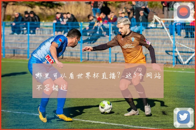哪里可以看世界杯直播？这5个网站不容错过