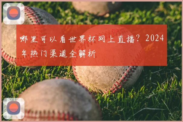 哪里可以看世界杯网上直播？2024年热门渠道全解析